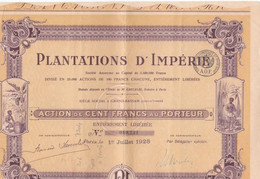 Plantations D'imperie Cote D'ivoire Banane 1928 - Agriculture