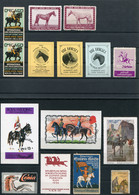 Horses X 15 Cinderella Labels Vignettes. Germany Frankfurt Olympics Advertising Exhibitions Eynhallow Scotland - Paarden