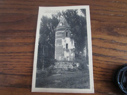 Carte Vue De HOLLOGNE-SUR-GEER (ruines Du Château)). Ecrite Mais N'a Pas Circulé - Geer