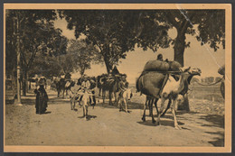 Egypt - Rare - Old Post Card - A Loaded Caravan Going To Town - Brieven En Documenten