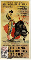 Delcampe - CARTE MAXIMUM  TAUROMACHIE CORRIDA  SEVILLA 1960 - Maximumkarten
