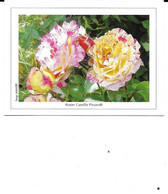 Calendrier De Poche 2006, Rosier Camille Pissaro, Jardin, Cheminot - Petit Format : 2001-...