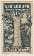 Famous Giant Kauri Tree TANE MAHUTA - Altri & Non Classificati