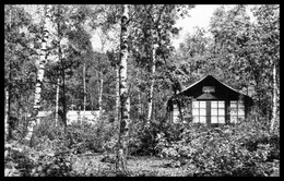 DOORN POST DRIEBERGEN - Recreatiecentrum " Het Grote Bos " - Hydeparklaan 2 - Uitgave EIDEN - 1964 - Doorn