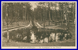 Groet Uit DRIEBERGEN - De Koekepan In Het Bosch - Uitgave M.K.D. - 1933 - Driebergen – Rijsenburg