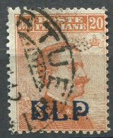 REGNO B.L.P. 1921 20 C. I TIPO N. 2 USATO F.TO RAYBAUDI VIGNATI - Used