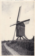 Waregem, Oude Molen, Moulin, Windmill (pk71603) - Waregem