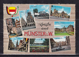 71U * GRÜSSE AUS MÜNSTER * IN 8 ANSICHTEN  **! - Munster