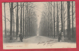 Mariemont - La Drève ... Personnages - 1907  ( Voir Verso ) - Morlanwelz