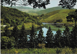 La Salvetat Sur Agout (environs) - Le Lac De Raviège - La Salvetat