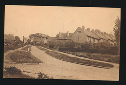 BOITSFORT  AVENUE DES OISEAUX  BOSCHVOORDE VOGELLAAN - Watermael-Boitsfort - Watermaal-Bosvoorde