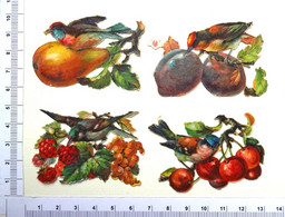 4 PETITS CHROMOS DECOUPIS...OISEAUX PICORANT UN FRUIT - Animals