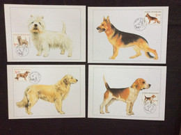4 Cartes Maximum Chien De Race Berger Allemand Golden Retriever Beagle Terrier Blanc Dogs - FDC