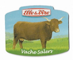 Magnets - Vaches - Vache Salers - - Tierwelt & Fauna