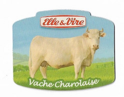 Magnets - Vaches - Vache Charolaise - - Dieren & Fauna