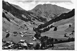 L'Etivaz Et Les Rochers De Clées   ( 10 X 15 Cm) - Les Clées