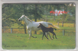 JAPAN HORSES 2 CARDS - Pferde