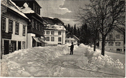 CPA AK Hochenschwand Winter-Hohenluftkurort GERMANY (1019115) - Hoechenschwand