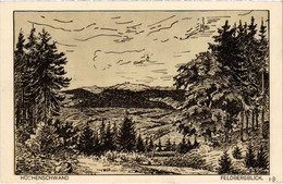 CPA AK Hochenschwand Feldbergblick GERMANY (1019118) - Hoechenschwand