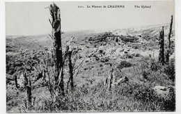 CRAONNE - N° 221 - LE PLATEAU - THE UPLAND - CPA NON VOYAGEE - Craonne