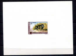 RC 18812 DAHOMEY N° 265 EPREUVE DE LUXE PHACOCHÈRE NEUF ** - Bénin – Dahomey (1960-...)