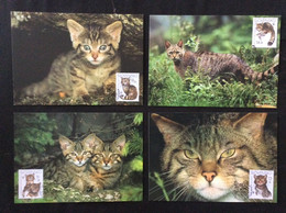 4 Carte Maximum  2003 Chats Cats CM 051 à 054 - FDC