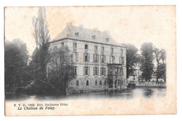 Feluy Le Chateau D V D 10233 Edit : Guillaume Feluy 1908 - Seneffe