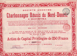 Action De Capital Privilégiée De 250 Frcs - S.A. Des Charbonnages Réunis Du Nord-Donetz à Marievka - Bruxelles 1905. - Mines