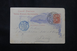 BRÉSIL - Entier Postal De Rio De Janeiro Pour La France En 1894, Oblitération Maritime En Bleu - L 75123 - Entiers Postaux