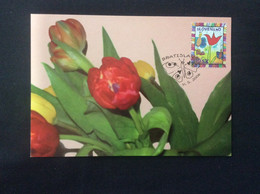 Carte Maximum  2006 Dessin Enfant Tulipe Et Papillons  Tulip And Butterfies Tirage 1500 - FDC