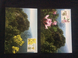 2 Carte Maximum  2010 Fleurs Sauvages Primevères Et Daphné Will Flowers - FDC