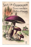 BEBES MULTIPLES ET CHAMPIGNON - - Mushrooms