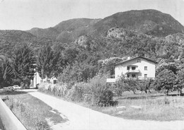 Casa Riposo Losone  (10 X 15) - Losone