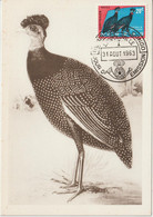 Carte Maximum 1963 Oiseaux Pintade 482 - Other & Unclassified