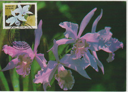 Brésil Carte Maximum 1987 Fleurs Orchidées 1861 - Tarjetas – Máxima