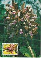 Brésil Carte Maximum 1987 Fleurs Orchidées 1862 - Maximumkaarten