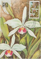 Brésil Carte Maximum 1982 Fleurs Orchidées Issu Du BF 48 - Maximumkaarten