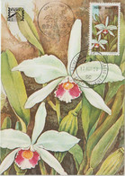 Brésil Carte Maximum 1982 Fleurs Orchidées Issu Du BF 48 - Maximumkarten