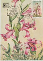 Brésil Carte Maximum 1982 Fleurs Orchidées Issu Du BF 48 - Maximum Cards