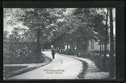 Schiermonnikoog, Nieuwe Streek ZELDZAAM - Schiermonnikoog