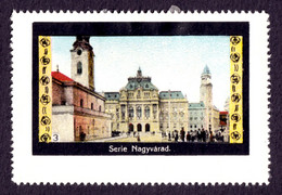 NAGYVÁRAD ORADEA Town City Hall Cathedral Church - Romania Hungary Transylvania 1910's - MH - Siebenbürgen (Transsylvanien)