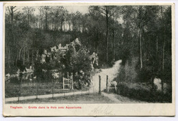 CPA - Carte Postale - Belgique - Tieghem - Grotte Dans Le Bois Avec Aquariums - 1906 (BR14527) - Anzegem