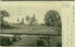 NEW YORK - PLANTATION - BRONX PARK - PUB. BY I. STERN - MAILED TO ITALY 1907 (BG10178) - Bronx