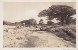 ARUBA REAL PHOTO POSTCARD RPPC BRIDGE RIVER AND LANDSCAPE - Aruba