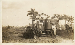 Real Photo  Truck In Sugar Plant Finca Jamaica . Camion Dans Plantation - Cuba