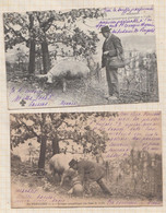20A1942 En Périgord, Groupe Sympathique Cherchant La Truffe Lot De 2 Cartes  "precurseur " - Mushrooms