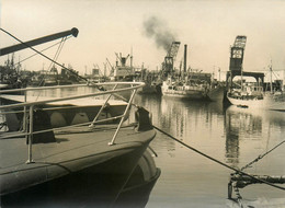 La Rochelle * Vue Sur Le Port * Bateaux De Pêche Et De Commerce * Photo - La Rochelle