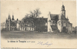 Trazegnies   *  Le Chateau De Trazegnies (XIme Siècle)  (Nels,49/05) - Courcelles