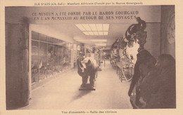 Animaux Et Faune - Rhinocéros Singes - Taxidermie - Musée Africain De L'Ile D'Aix 17 - Editeur Muro - Rhinocéros