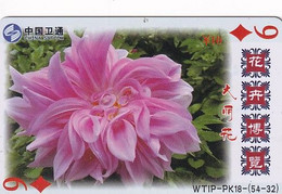 CHINA - Flowers, Playing Cards, China Satcom Prepaid Card Y10, Exp.date 20/09/08, Used - Flores